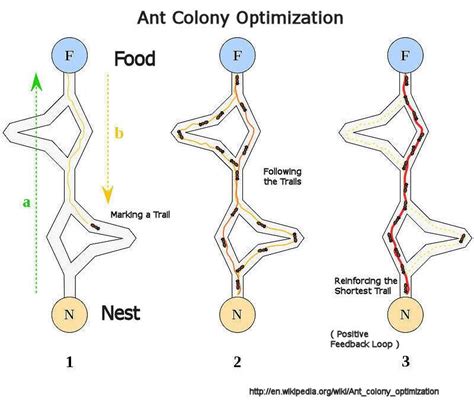 Ant Colony Optimisation Algorithm