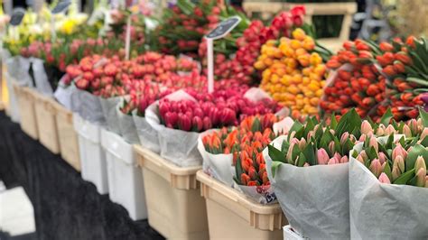 Floral Industry Trends