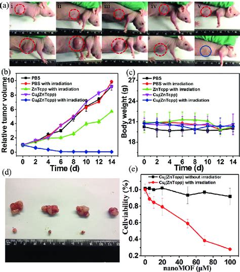 In Vivo Antitumor Efficacy Of Np 1 On Hct116 Subcutaneous Xenograft In Vivo Antitumor Efficacy Of Np 1 On Hct116 Subcutaneous Xenograft