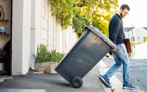 The Trash Can Cleaners
