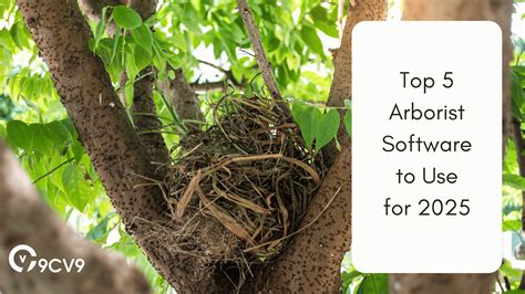 Top 5 Arborist Software To Use For 2025 Top 5 Arborist Software To Use For 2025